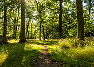 2018-11-11/8e184ecc917703142f98cbf185d39ab9_6eb8a751cdfbe4e96ac113f543785e5a