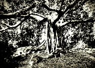 2018-11-12/9ceac7ee0745e04e311999b219de1fa9_db477a4214b49c7059b4e8db9c3748c4