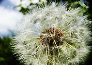 2018-11-13/5053379874802c30c076c36388cae425_cc356e36e5f7b5d5f73579cc653f0045