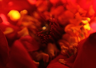 2018-11-13/813afb7ec01383fdf1219e89a164e81f_38613f0bfd8f38b9d3feb2b32300ed8f