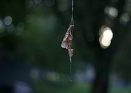 2018-11-13/9f599359e631e45581d69354a627727e_d9066d8cd8314dffac9c8b8b305c6b74