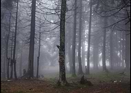 2018-11-13/c04ac982e131d7da04bb1fb9e9398b4b_f52512f3eb4c00bf830ecc5251de5aef