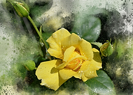 2018-11-14/47cd094bdde3d2b0519bc91e803ac3cf_2f1e13174e63d2dd356ff801115485c8