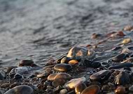 2018-11-16/5d20642f181b6c2de592d5ac99fdcee3_e05f3ca7d9916e39c4c952ddc9488094