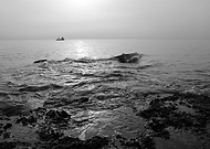 2018-11-18/37fbae87a24b1bea75819ca73ad70dbc_67fd05a67d195179a64e871f28d7787a