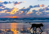 2018-11-18/7ec26b0131025fdc7c69e19426f4f564_61266904b3257916d6f5338d28444a29