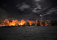 2018-11-19/e3a245ac23e7fb31c13985639617ba99_4b37a190956b161746ff717956464d4e