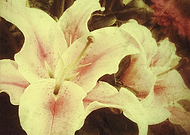 2018-11-20/6ba28e3d438d09aaadbf56f6532774c9_fd406c1d1fb35616b84e4d672e9f9c4c