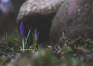 2018-11-20/aa22cd500e3c583b2b5f98507ec51c74_17f3592c4cbfcd28e852ed059f14fb29