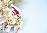 2018-11-20/cc0ad7bd6708afd2d5cea5a155f8ace9_a0806aff67dcb664b4f9cdca11d73f39