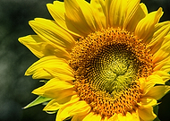 2018-11-20/d5f7d96a397d6e8122ec6486072fd34c_9e282e47324f7ede0d12d3d6c69211e0