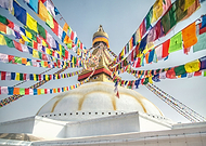 2018-11-21/51ba59acdc95915c362c4045a025f7f3_d18c4a2efcc10f1ffe54ea3246d5aa58