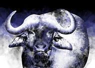 2018-11-23/7c5d2b0798b3f793b6c14d948e0395bc_177f2047240e3b0827c9850cf9ad491d