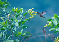 2018-11-24/197ed7bd4cf6994dd1f024de350f4a9e_e0401b0b05b30800fa7f03902ff38609