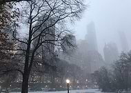 2018-11-24/2152ca5a1c3f871f7c8e265e06419938_767a336e9dd915fe3feaeee018aaf9fd