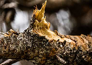 2018-11-24/3239a1f0cd31e9d0f5c300d5e739ef59_e406b0d82950eb22710ff1111d5e2583