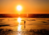 2018-11-24/8a37c34eafef649dc8f2ec7ef0f0da83_1c486379f7e6de89265f0c4a22ff4d3e