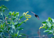 2018-11-24/ddf11147bd885d2fc27f8d5ff2deb270_655abff5500a189f71b3fa5fc9dae67f