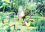 2018-11-25/6ecaf4d1a7b38a93f7920380d57b1784_c93df8428c05d3ab4672a497313b3b75