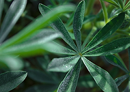 2018-11-25/d8c05a754019f27a1eafc7c0caac61bb_65862e7d3a6287bad396f8ac93de9488