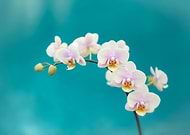 2018-11-26/826e9bb0565d3dac4e1e8d44d02300ab_896c50d4ad03e6dd28dd6e00d0ca6a50