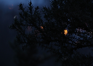 2018-11-26/c46289b7190b77f815088f4a226a904b_ce2789885378115b9f2c24bac24a21bf