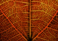 2018-11-26/d79ba6123beb751470e990bfb432e8bf_31fb9c269d753374d33b08ffaf7e65c0