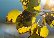 2018-11-27/35fa0cf5afebed5a7e948377e233994e_c62c551c875b3049d05ca8e16a71ed87