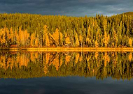 2018-11-27/597bda4a7d63cd21d738a0e617914315_7ea40c078b5b7e6e6191239976db640e