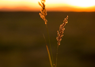 2018-11-27/ab0442de4c36e4a25122e8b4b8c321e6_82722cef27ff2d3023c16df3145c1baf