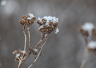 2018-11-27/d19fc5bc3aab24a3060f4ce8aa459f66_2c63130fc937e23d5c6b61bdbdadaa51