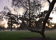 2018-11-28/3ce928e3168eb57aa96a083cccf1489e_402813c9edda0467fe3412b4b9d67910