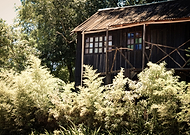 2018-11-28/7bb975b5e1c5b9e597b7d66e9bf44836_c09d1c09668a775362b00cd9f778abcc