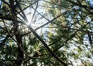 2018-11-28/852cbc61f884b940b17608d25d064286_79bbfa7308ef3dee0151268a9be52836