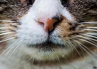 2018-11-28/97a868ce8703ef7cb0c4f588349eed24_b5e4deae50ebb510c9dbbfd86958e3a9