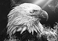 2018-11-28/ce938ec5e3e1bff259e5e64abff66c56_30b7ddb2e5f01ba4533de9d3c4a93231