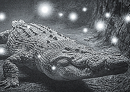 2018-11-28/f7a26f43681c2bc92407b0c0a21126dd_8aff4d912b8c43646c5c4cae254fcb00