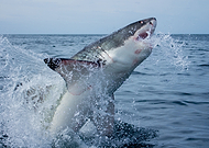 2018-11-29/6ee4a2749fd3501313734b30bb14d6c8_767bf921aacdedcb67126455905479f0