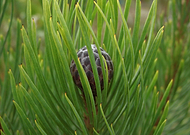 2018-11-29/94d8aaa9a2f2fca303993dc1570b4642_110efc3d28d7ede81a4a62ea4cb1655d