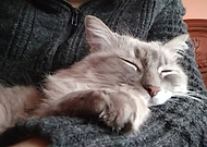 2018-11-29/a3ad04963730c1fdeaf29d59b2d8441d_2f7bc5502c1c7ae5e754aa4e6a7d28d6