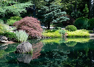 2018-11-30/ded3a172c343fafa4a2afdb4069cc6f4_85b89fd818f4d8e866ed62ae29cd3fd0