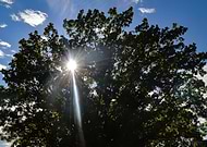 2018-11-30/f8b82f471e60aa98794b07a0fb66c631_045eb8797faf04db57a31102569579d5