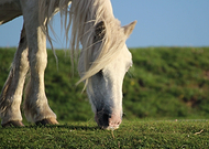 2018-12-02/35b9a58805b995f8cacdd60d6f257054_e5e9d32960ba61453d4918abd1b966b0