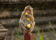 2018-12-02/e3dbd9f957acdb535a7c35b541b00775_81790555f81f80fd98543acaf2efd4a3