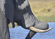 2018-12-03/3c919b01885242d26d9b992020e91953_16b04aa1155e207ac2752e6f4fda70a8