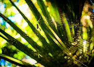 2018-12-03/ace4e5d07a89b43927da39f0bb859d3a_0b29405a5d66ab31b566b2847915a58a