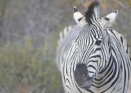 2018-12-03/d16424a62eae97d7313ceadc4046f52e_b5c2f3b03c74f9b8fb114fa7eddb5def