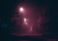 2018-12-03/fabf8ef5e676baf69cfe7260980796ed_2407d20ffe5bd5f393dc4e6e5650f35a