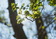 2018-12-04/0c78a7e260737b27d97cd91cfc0ba5fa_36f68cdca0315a85cc26ace9936ffe92