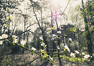 2018-12-04/a73df5ab2004ec42a76e84d3a81b769d_737ec2949b2123a855e1e45f1ab7c2c0